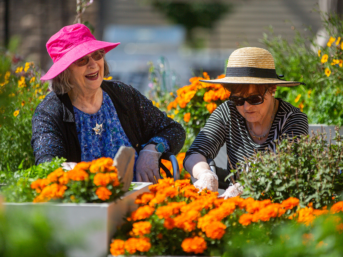 Two women wearing sun hats gardening together, orange marigolds in front of them.